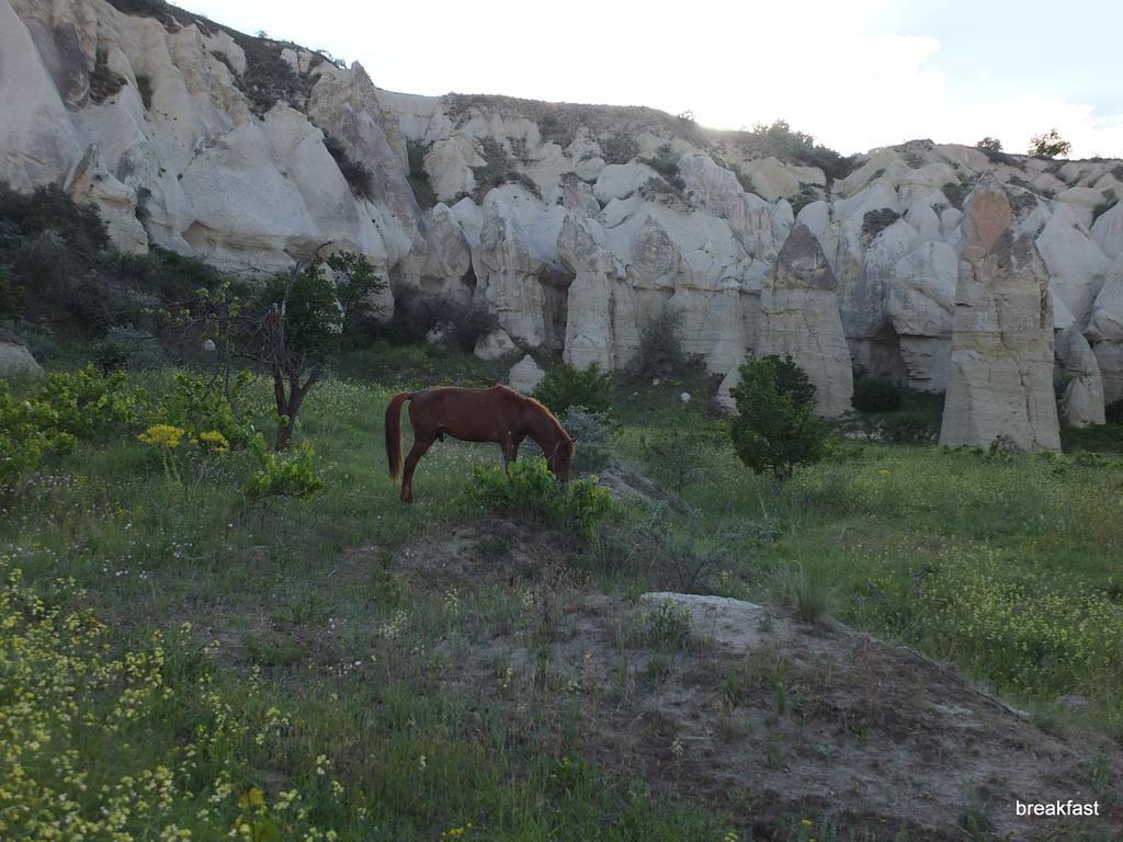 Anatolia Cave Hotel Pension Göreme Extérieur photo